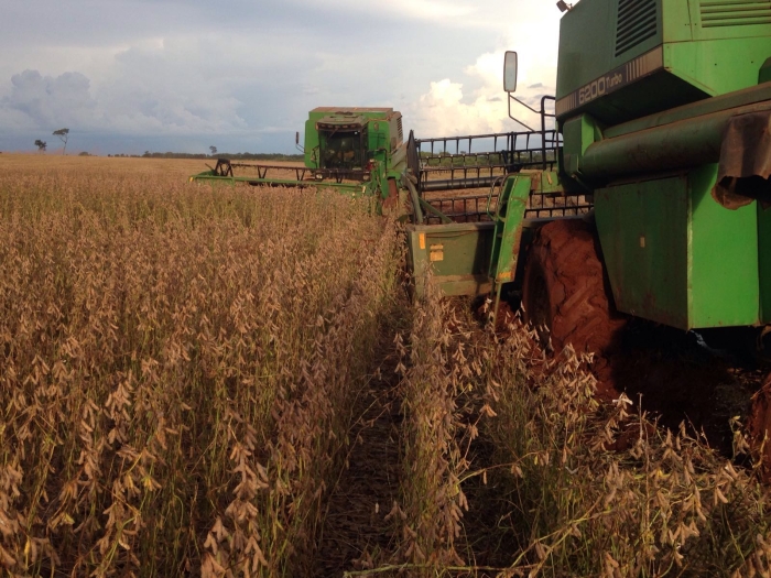 Imagem do dia - Colheita de soja em Dourados (MS)