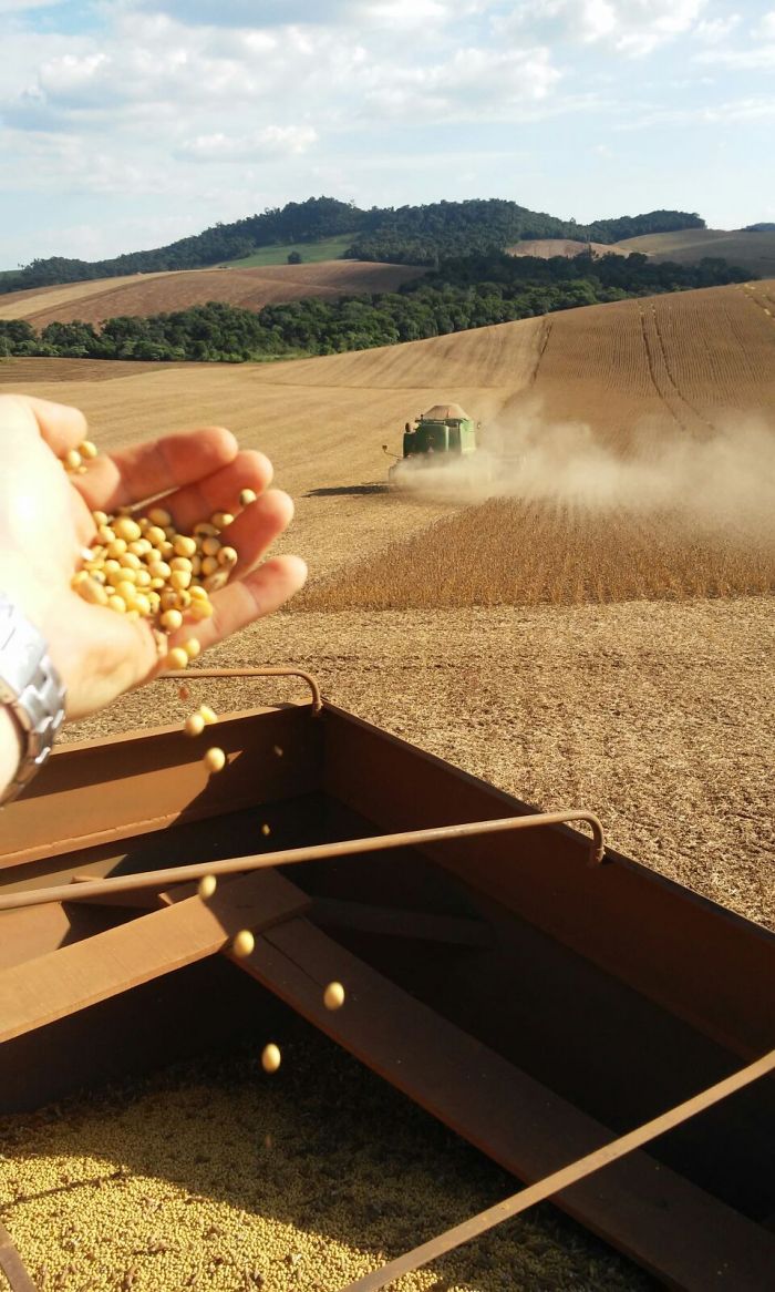Imagem do dia - Fim da colheita de soja precoce em Vitorino (PR), do produtor Clarindo Storti. Enviado pelo Técnico Agrícola Jonatan Tayllel