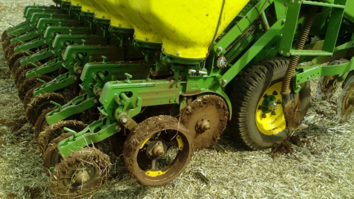 Imagem do dia - Plantio de milho safrinha em Toledo (PR)