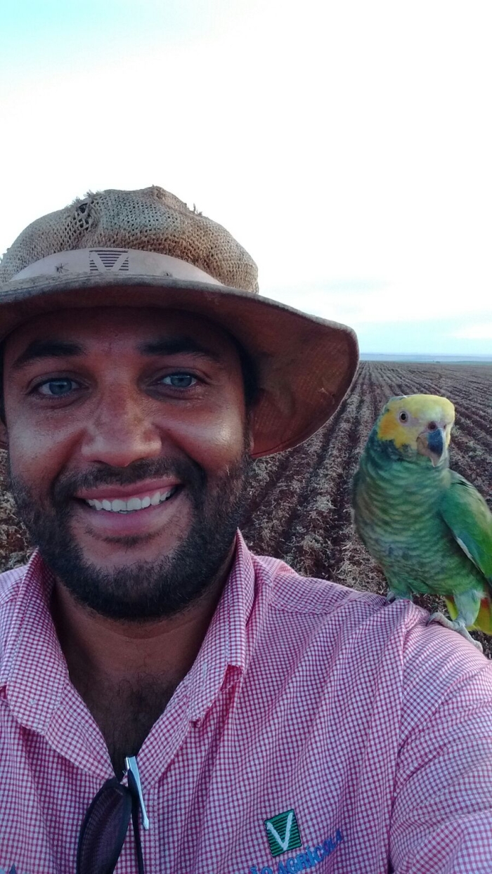 Imagem do dia - Edson Brito em Cristalina (GO), no plantio de milho safrinha