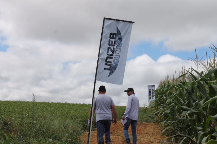 Imagem do dia - Monitoramento de doenças foliares em Lagoa Vermelha (RS). Enviado pelo Engenheiro Agrônomo Carlos R. Dellavalle Filho