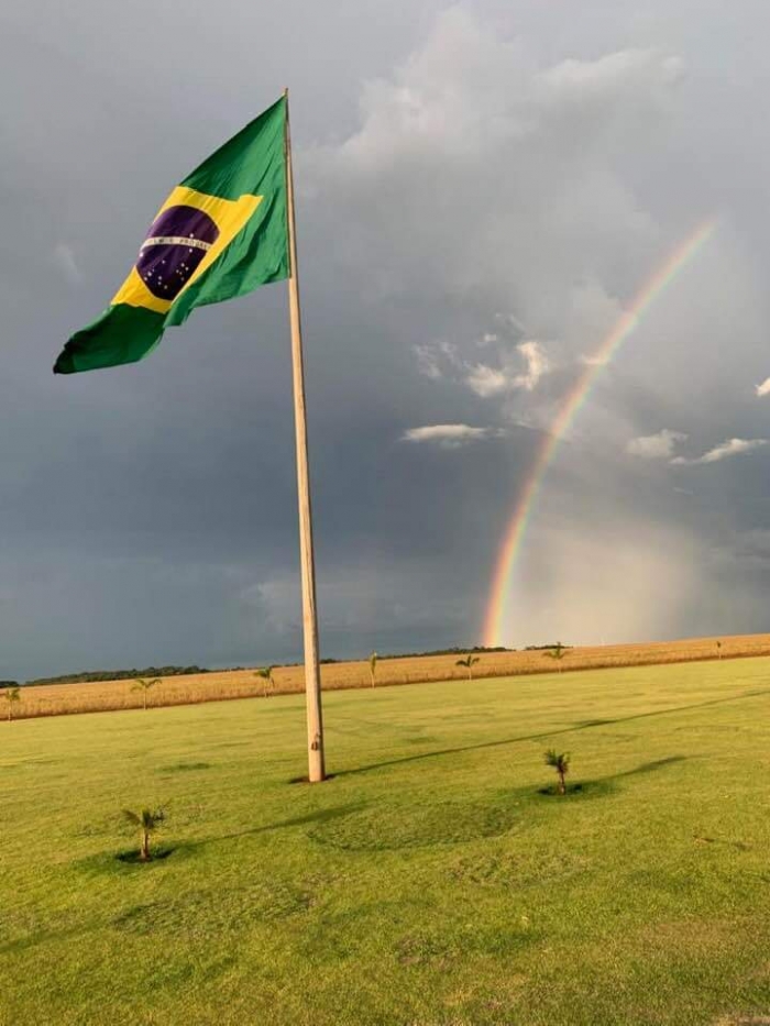 Chuva em área de Mato Grosso. Envio de Amadeu Rampazzi