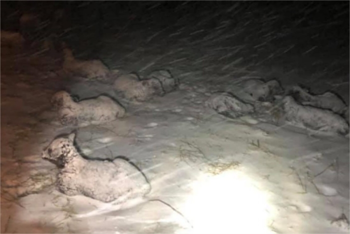 Neve na Pensilvânia