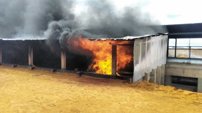 Destruição em fazenda em Correntina (BA) - Abapa