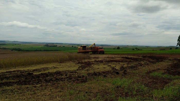 Imagem do dia - Colheita de soja em Itambé (PR). Enviado por Valdir Edemar Fries