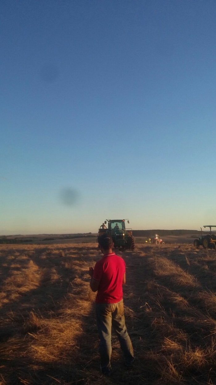 Imagem do dia - Plantio de soja na Fazenda Barbosa em Pitanga (PR)