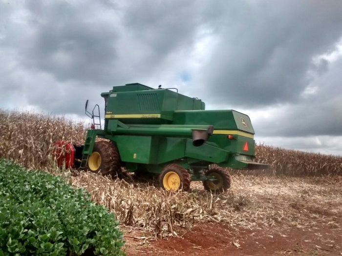 Imagem do dia - Colheita de milho em Sarandi (RS). Imagem de João Mateus Vargas de Oliveira