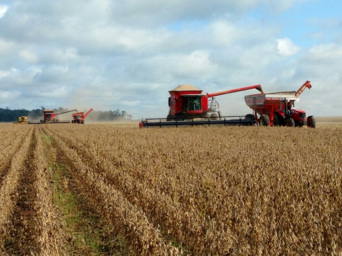 Imagem do dia - Colheita de soja e plantio do milho safrinha em Porto dos Gaúchos (MT)