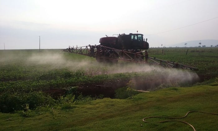Imagem do dia - Lavoura de soja em Pontes e Lacerda (MT), do produtor Cleber Cardoso Chicaroli