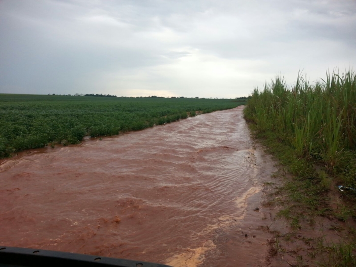 Imagem do dia - Chuvas prejudicando lavouras de soja em Naviraí (MS)