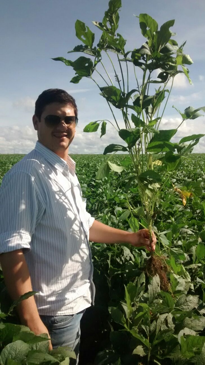 Imagem do dia - Lavoura de soja em Lucas do Rio Verde (MT). Enviado pelo Ricardo Augusto