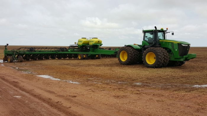 Imagem do dia - Pantio de milho safrinha em Cuiabá (MT), do produtor Edson G. Starlick