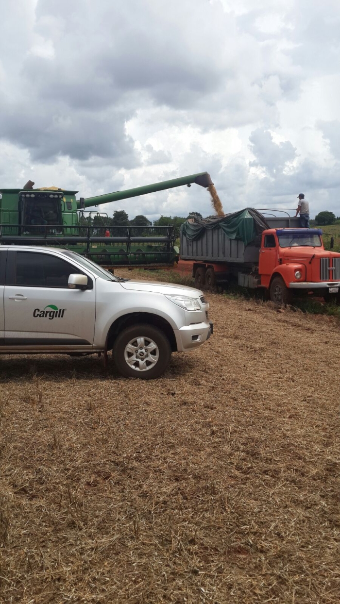 Imagem do dia - Colheita de soja em Minga Guazu (PY), da Família Rossato. Enviado por Enio Pilger
