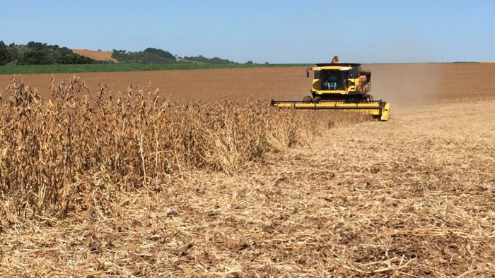 Imagem do dia - Início da colheita de soja em Mariópolis (PR), na propriedade Miglioranza