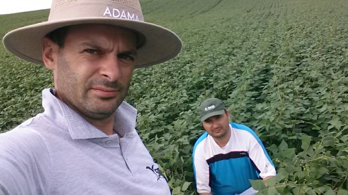 Imagem do dia - Lavoura de feijão preto em Rio dos Índios (RS), na propriedade de Mauricio A. Caminero. Envio do Engenheiro Agrônomo Niomar J. Dalbosco