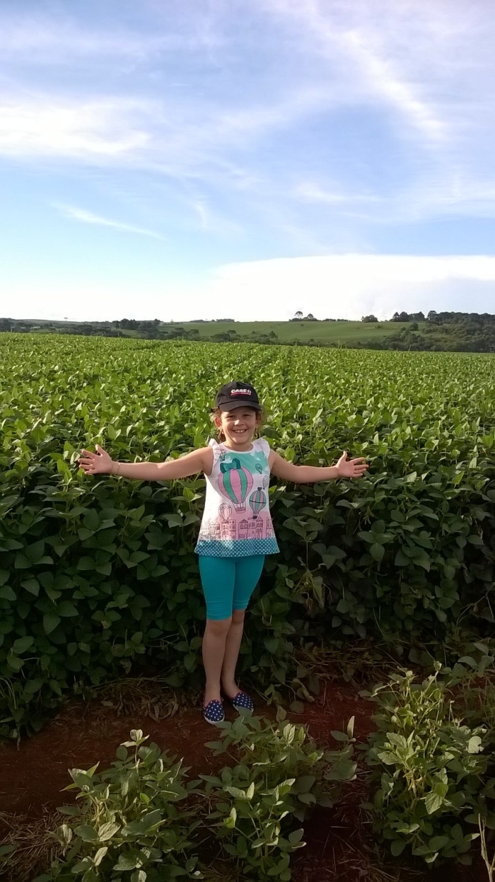 Imagem do dia - Lavoura de soja em Esmeralda (RS), do produtor Gregorio Gargioni Luz