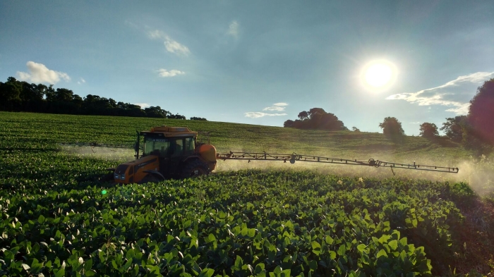 Imagem do dia - Lavoura de soja na Granja Muzzo em Getúlio Vargas (RS)