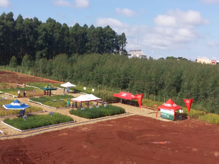 Imagem do dia - Dia de campo em Entre Rios do Oeste (PR)