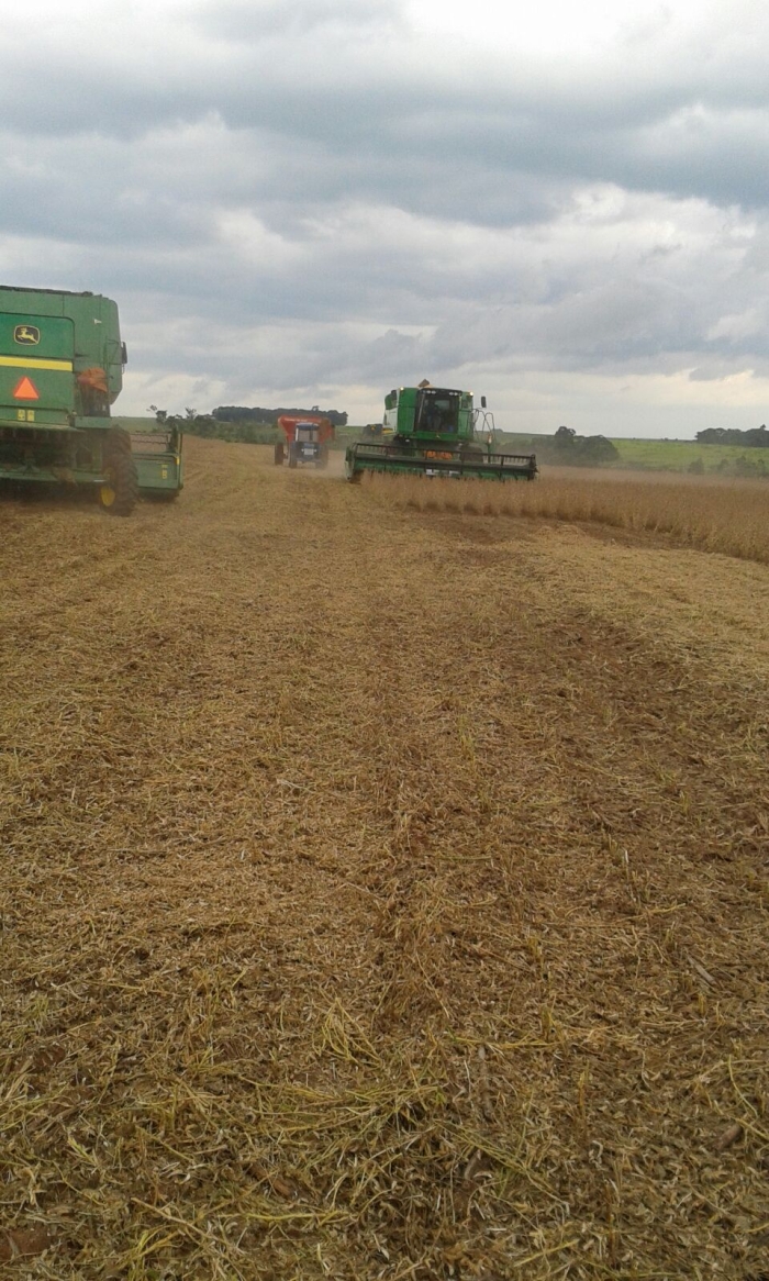 Imagem do dia - Início da colheita de soja em Estância Teixeira (PY)