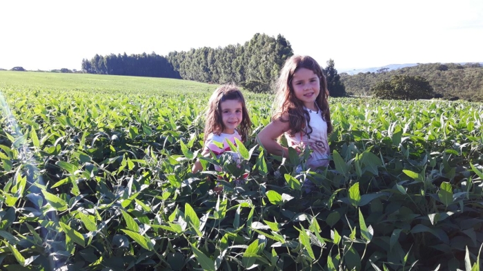Imagem do dia - Ana Laura e Ana Cecília na lavoura de soja em Rio Paranaíba (MG)