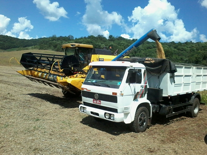 Imagem do dia - Colheita de soja precoce em Floriano Peixoto (RS)