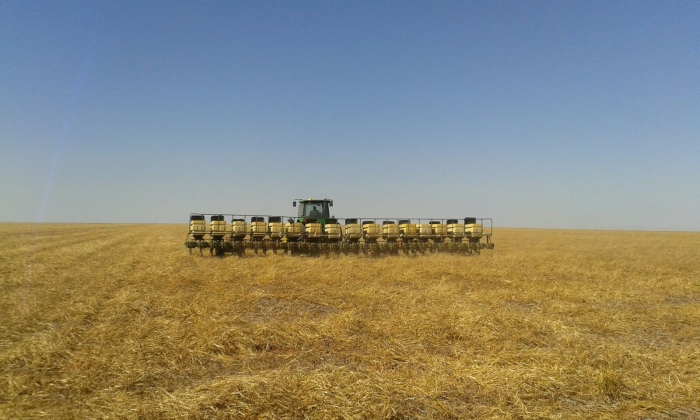 Imagem do dia - Plantio antecipado e aplicação de fertilizante, na Fazenda Santa Rita de Cássia em Roda Velha (BA), do produtor João Paulo Pegoraro