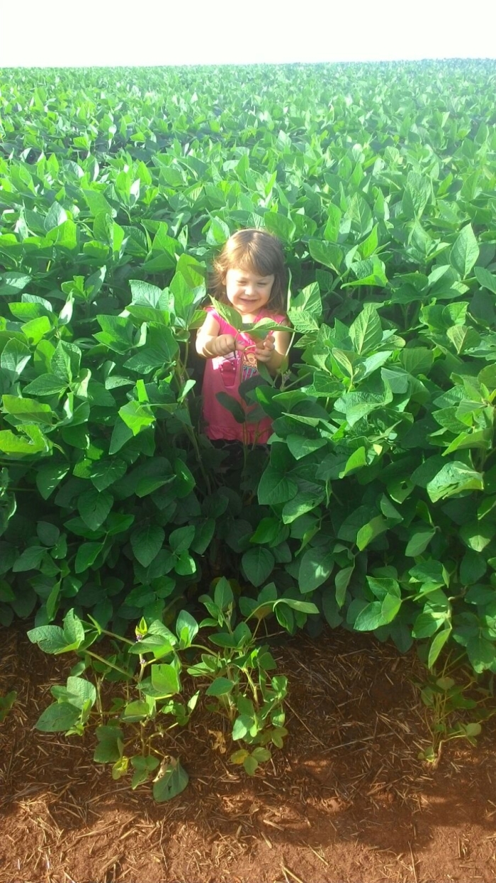 Imagem do dia - Kataryna Baiotto na lavoura de soja em Santa Bárbara do Sul (RS), do produtor Fabiano Baiotto