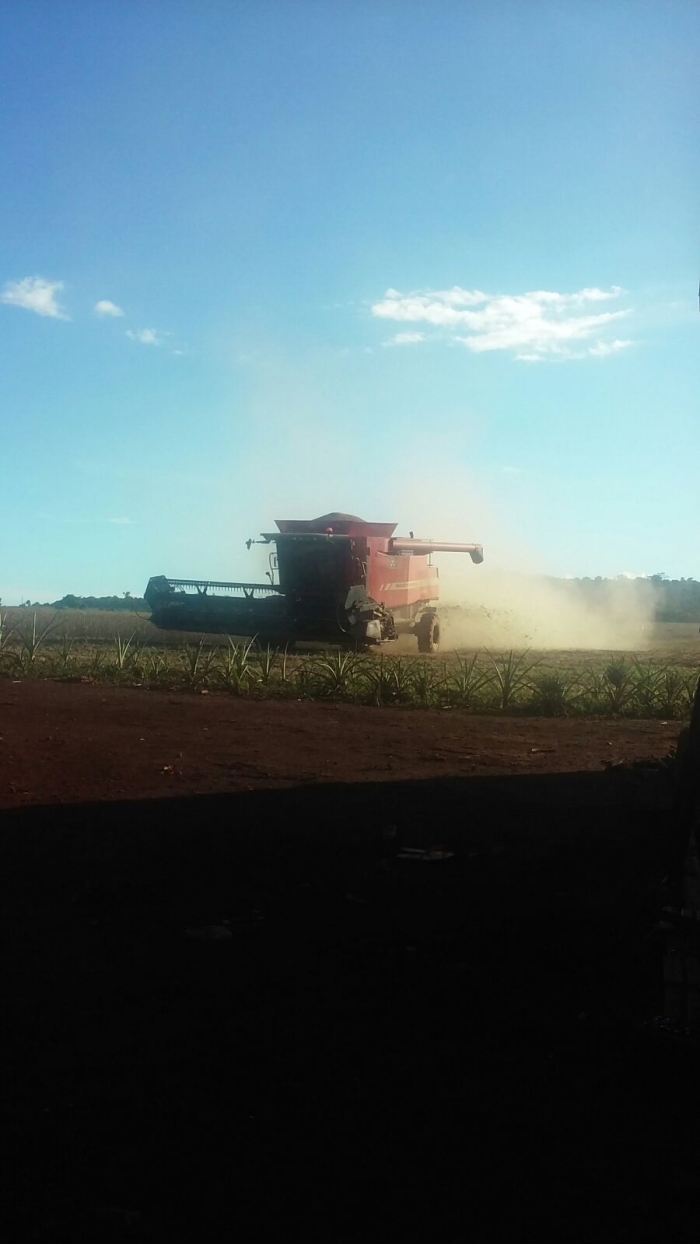 Imagem do dia - Colheita de soja em Marangatu (PY)