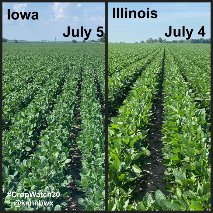 Lavouras de soja EUA - Karen Braun - Safra 2020/21