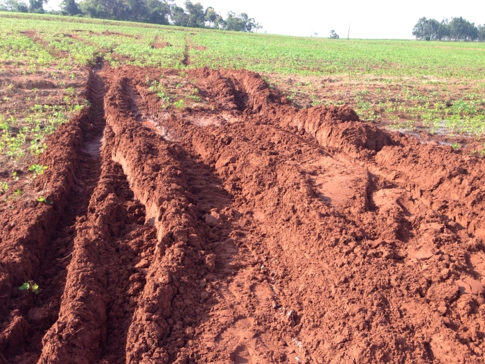 Imagem do dia - Imagens em Juti (MS)