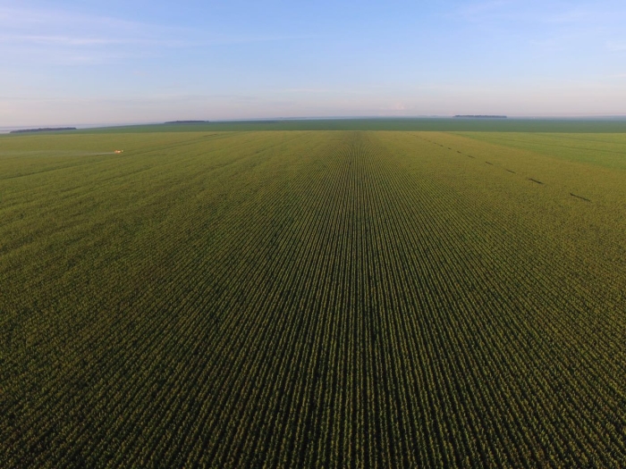 Imagem do dia - Aplicação de fungicida em Campos de Júlio (MT). Enviado por Marcos Vinicius