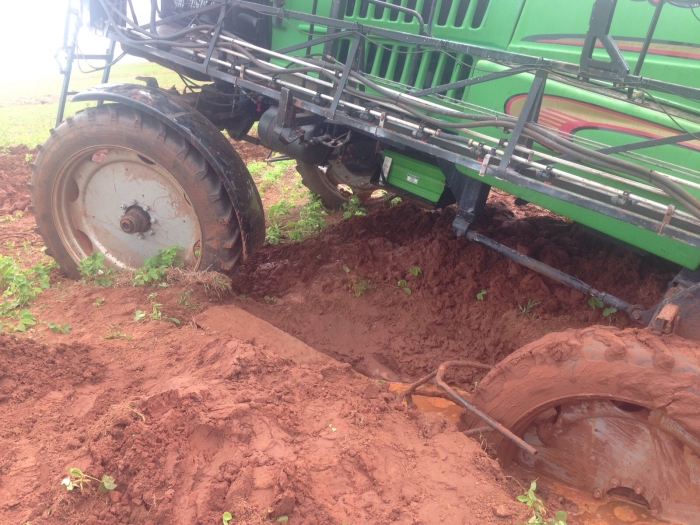 Imagem do dia - Imagens em Juti (MS)