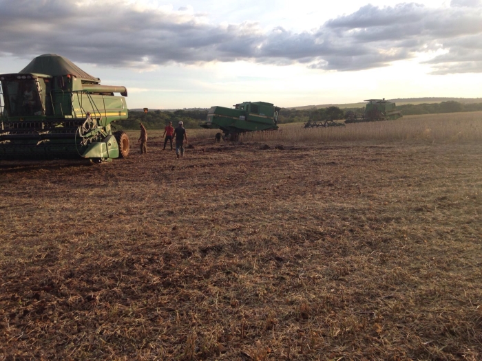 Imagem do dia - Colheita de soja em Dourados (MS)