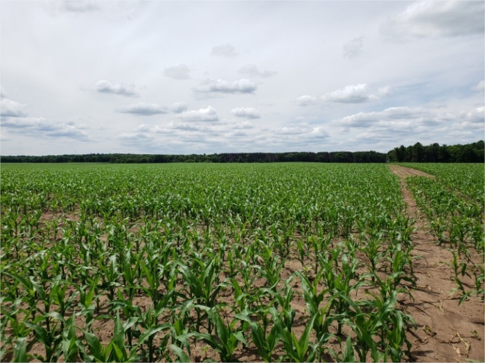 Dunn County WI
