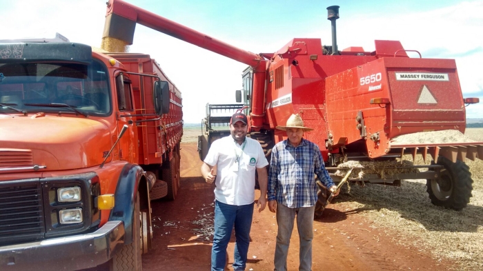Imagem do dia - Colheita de soja em Santa Cruz do Rio Pardo (SP), do produtor Nelson Gazola. Enviado pelo Técnico Agrícola Bruno Henrique Balbino