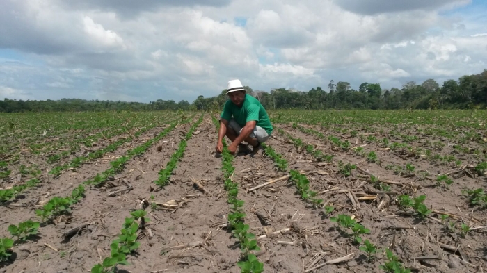 Imagem do dia - Produtor Carlos Edinei Maia Costa em Santarém (PA), na Fazenda Luma