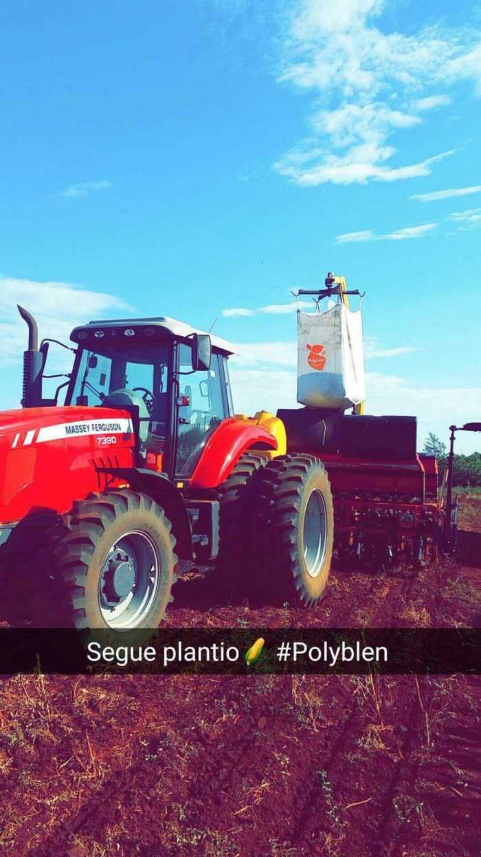 Imagem do dia - Plantio de milho em Minga Porã (PY), do produtor  Edimar Argenton