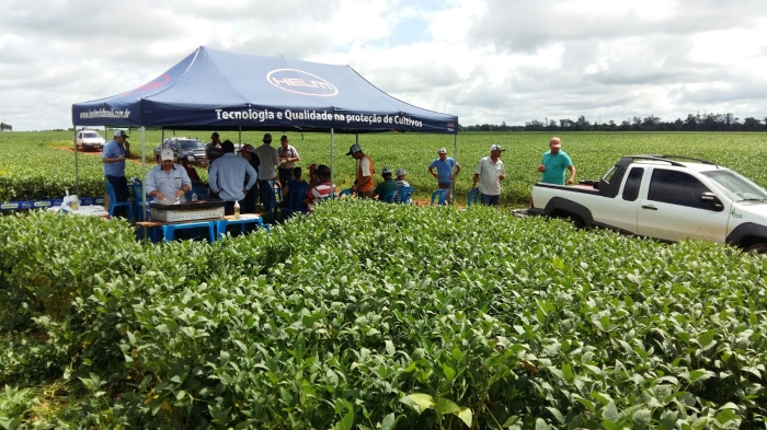 Imagem do dia - Dia de Campo em Nova Andradina (MS)