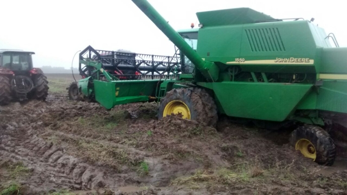 Imagem do dia - Colheita de soja em Hulha Negra (RS), após mais de  400 mm de chuvas no mês. Enviado pelo produtor rural Jairo Willrich