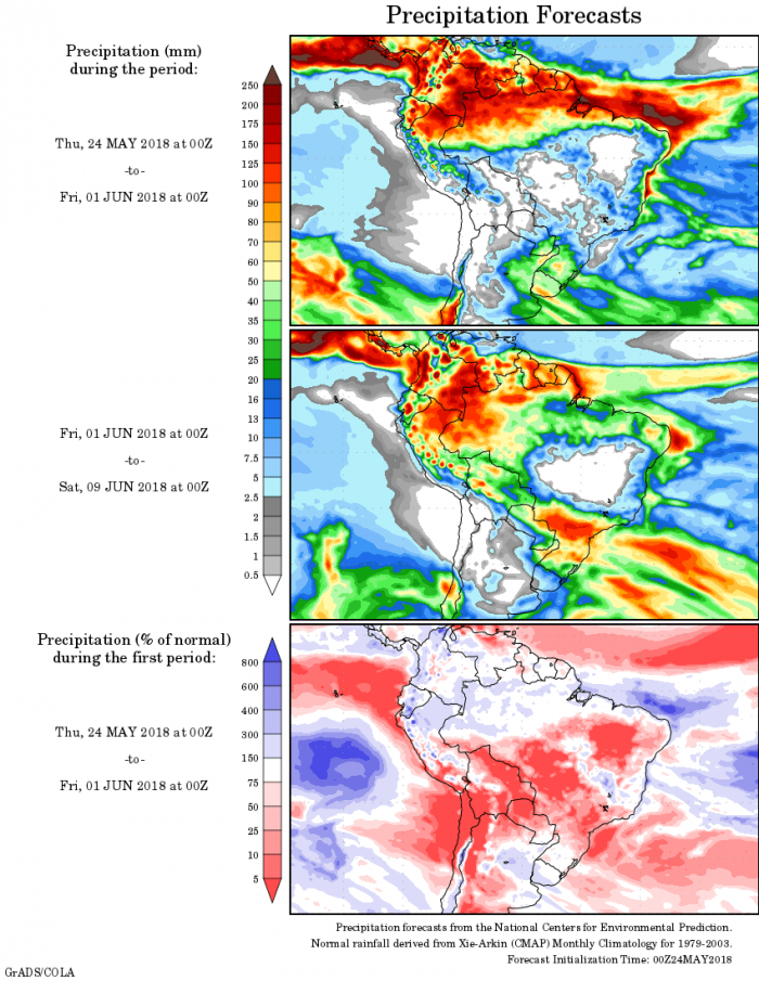 Mapa com a precipitação acumulada para o período de 24 de maio até 01 de junho - Fonte: National Centers for Environmental Prediction/NOAA
