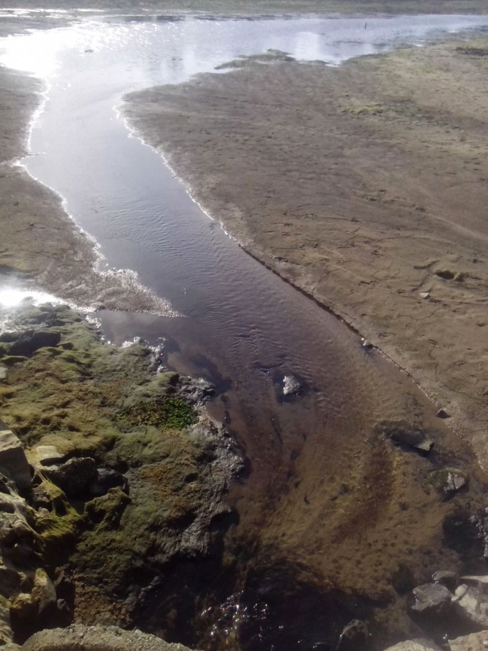 Imagem do dia - Rio Jaguaribe em Jaguaruana (CE)