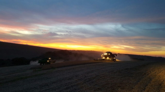Imagem do dia - Colheita de soja em Passo Fundo (RS), na Fazenda Guajuvira. Enviado pelo Engenheiro Agrônomo Rodrigo Schmaedecke