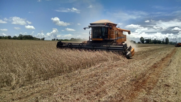 Imagem do dia - Colheita de soja em Douradina (MS),  dos produtores Juca e Cesar