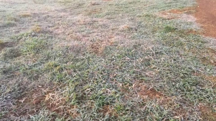 Geada em Dourados (MS) - Foto: Reprodução/Facebook | Martim Andrada