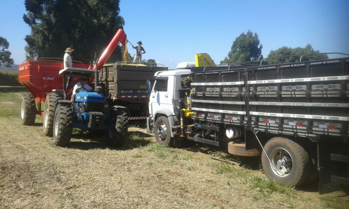 Imagem do dia - Fim da colheita de soja em Mato Castelhano (RS), da Família Palma