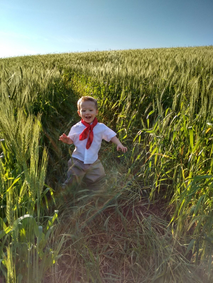 Imagem do dia - Davi Gall na lavoura de trigo em Cândido Godói (RS)
