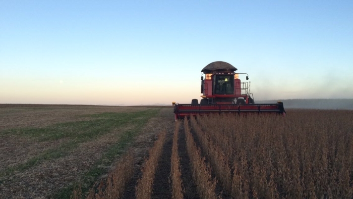 Imagem do dia - Colheita de soja em Ponta Grossa (PR)