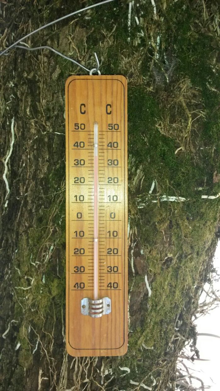Imagem do dia - Altas temperaturas registradas nesta segunda-feira (21) em Terra Roxa (PR)