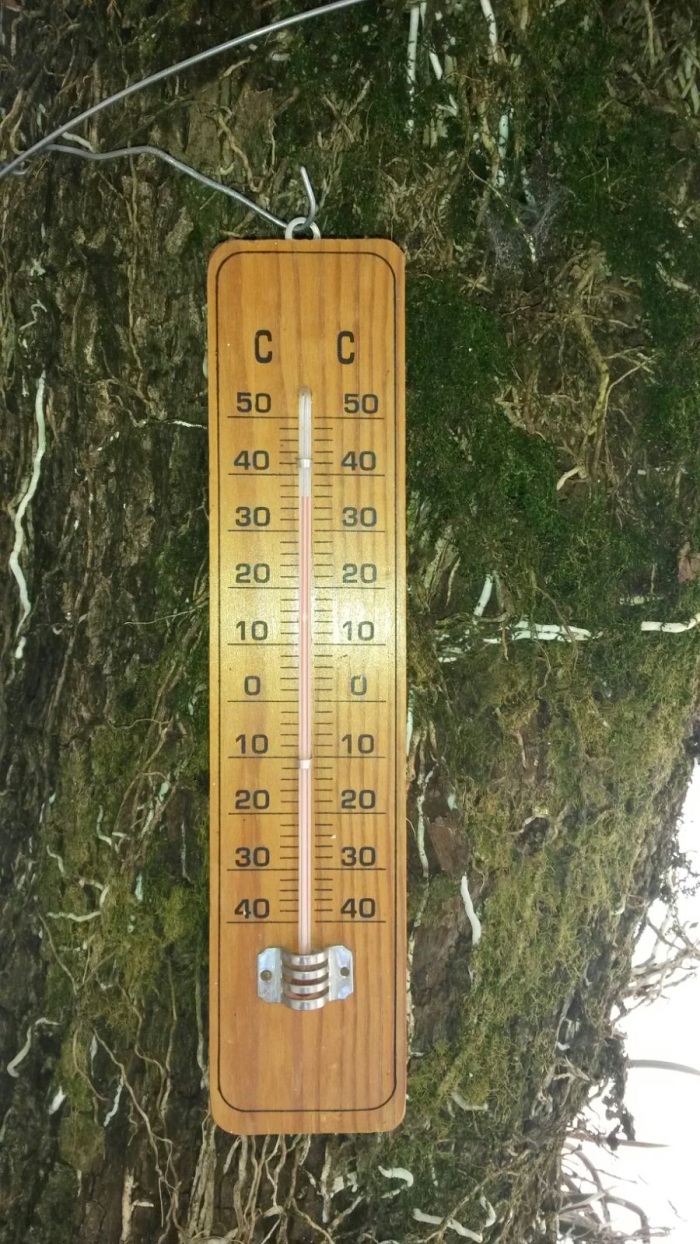 Imagem do dia - Altas temperaturas registradas nesta segunda-feira (21) em Terra Roxa (PR)