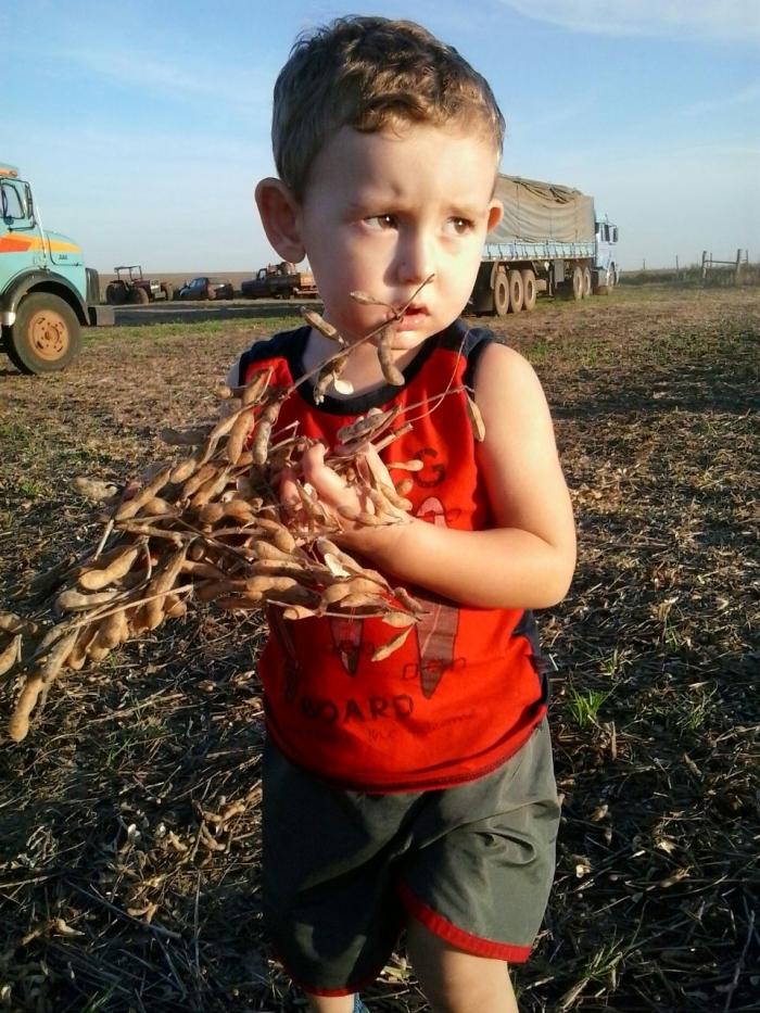 Imagem do dia - Luigi Borella Possobom na lavoura de soja em Jari (RS)